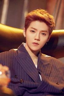 鹿晗身世娱乐八卦爆料,娱乐圈背后的惊人真相  第3张